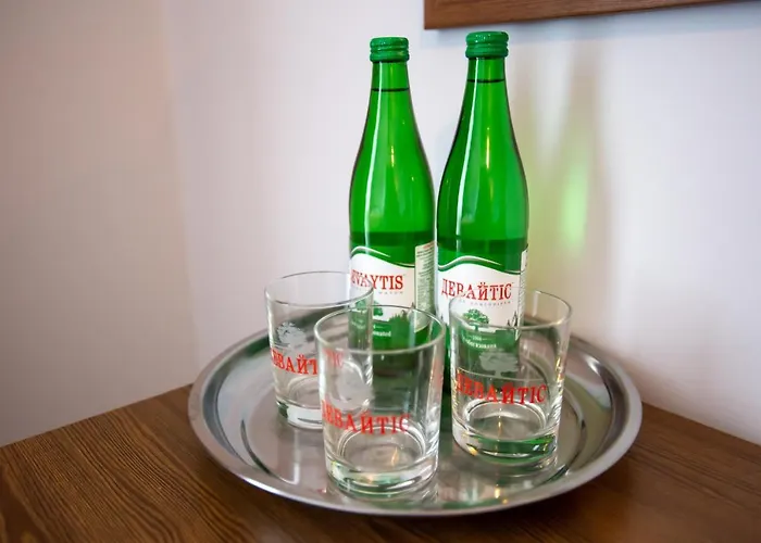 酒店 князів двір 布克维