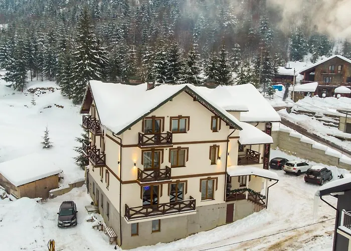 酒店 князів двір 布克维